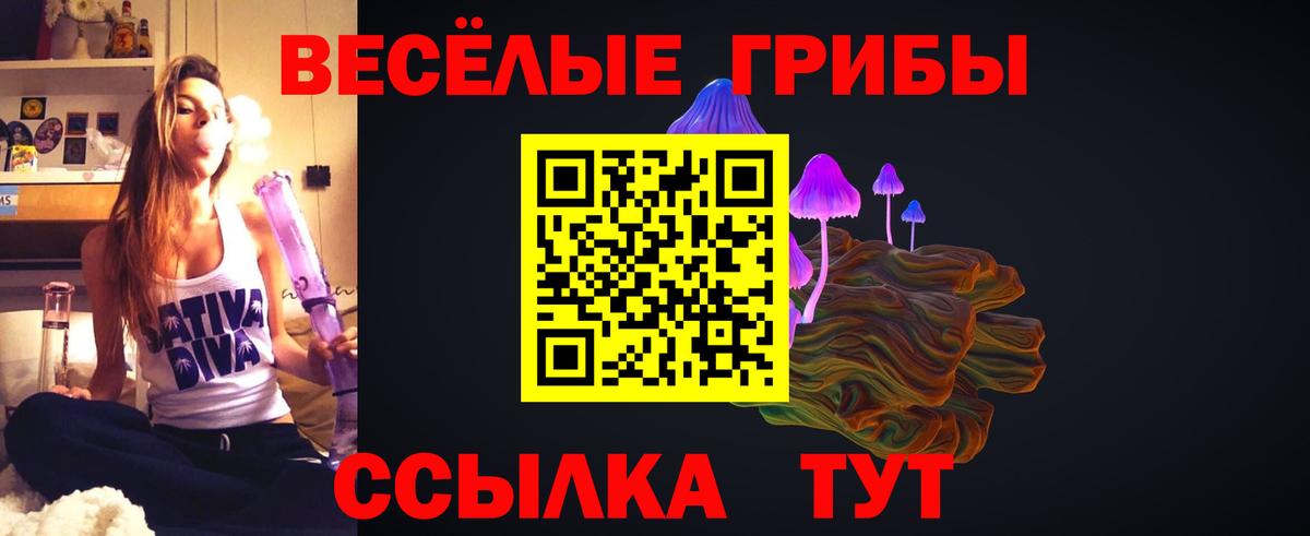 Псилоцибиновые грибы Magic Shrooms  Галлюциногенные грибы Magic Shrooms  Реж  Вход с VPN 