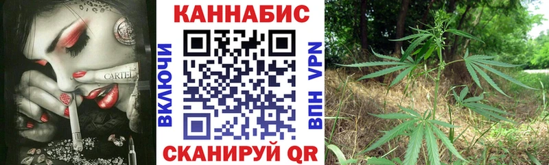 omg ссылки  Реж  Канабис гибрид 